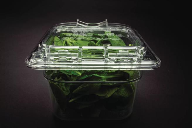 StorPlus™ EZ Access Hinged Notched Universal Food Pan Lid 1/6 Size